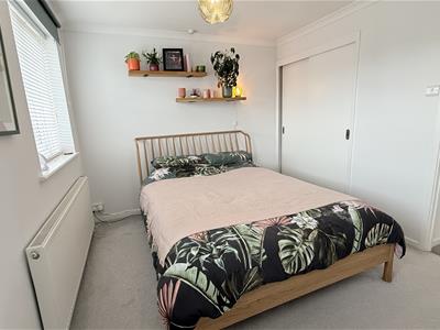 Picture 11